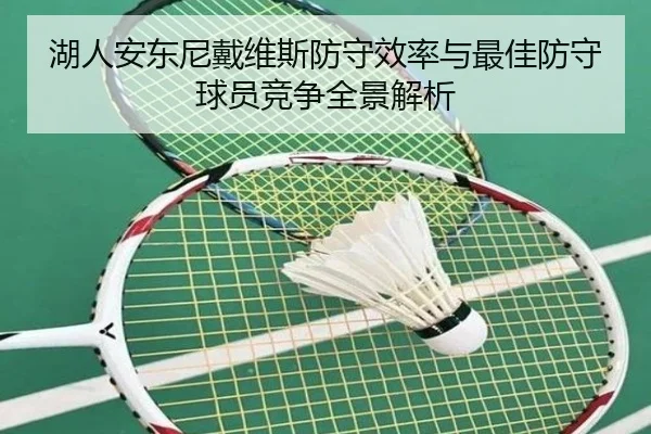 湖人安东尼戴维斯防守效率与最佳防守球员竞争全景解析